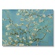Poster 50x70, Amandelbloesem, Van Gogh