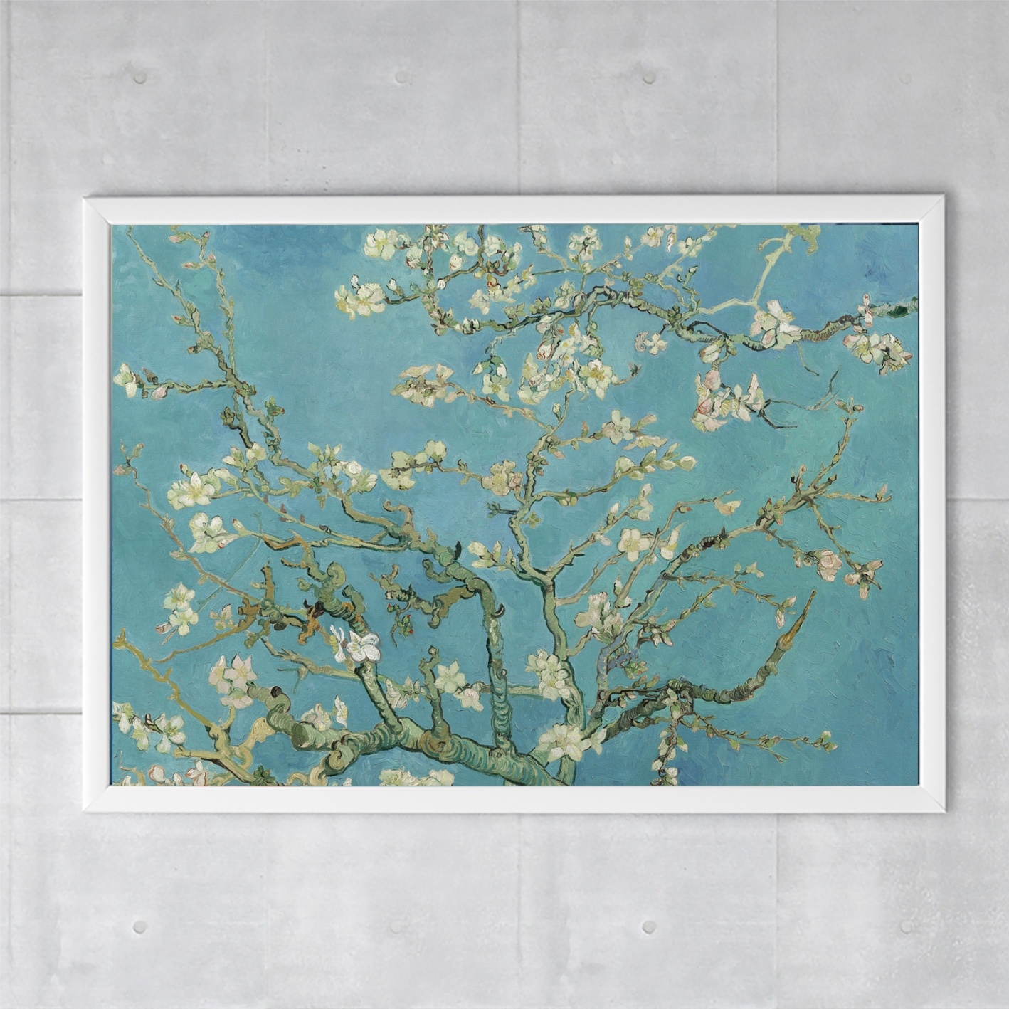 | Mandelblüte, Museum-webshop Webshop Gogh Museum Plakat, - Van