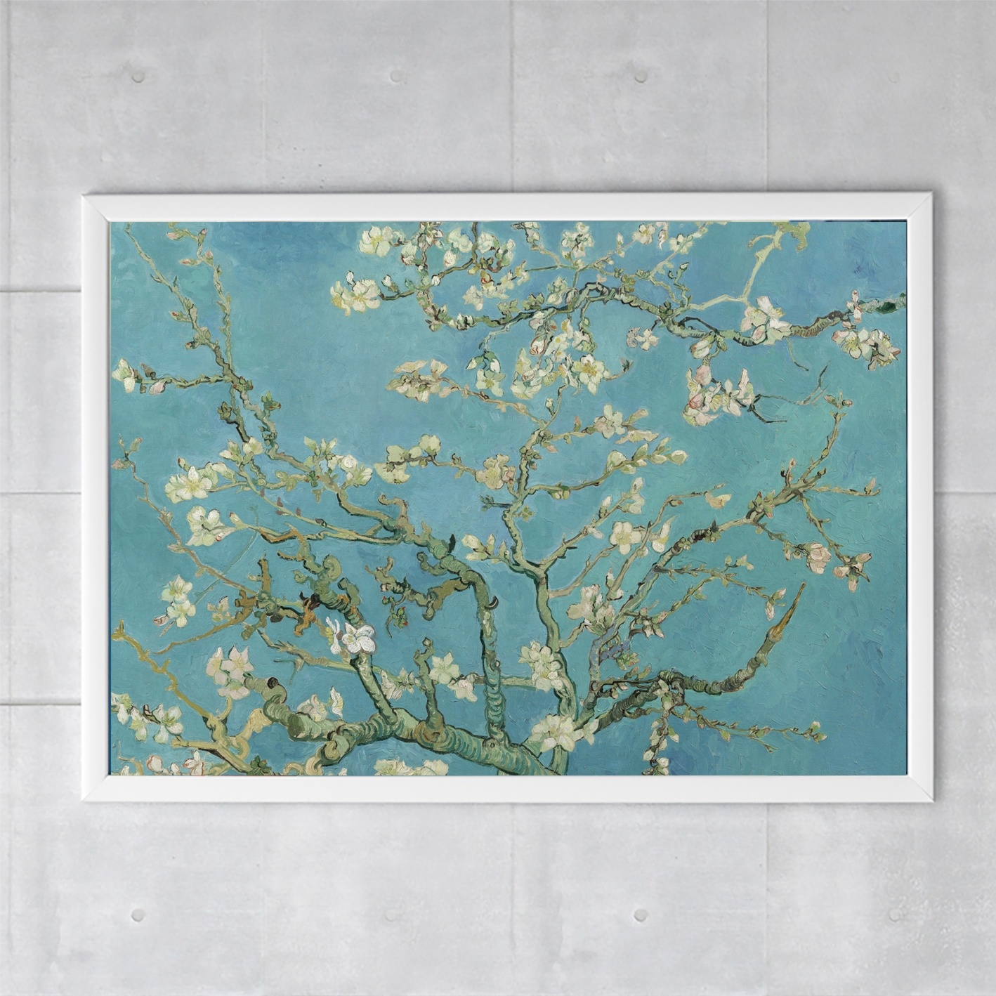 - Van Museum Gogh Webshop Museum-webshop Mandelblüte, Plakat, |