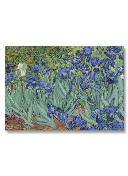 Affiche, 50x70 Irises Van Gogh