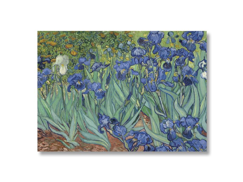 Affiche, 50x70 Irises Van Gogh