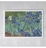 Poster, 50x70 Irissen Van Gogh