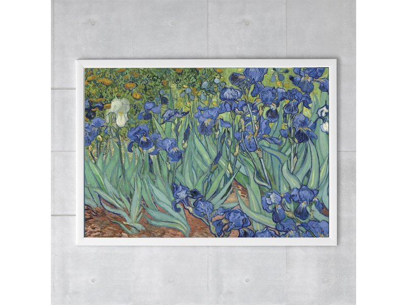 Affiche, 50x70 Irises Van Gogh