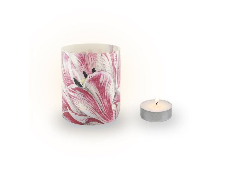 Candle shades , Merian, Three Tulips