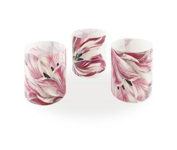 Candle shades , Merian, Three Tulips