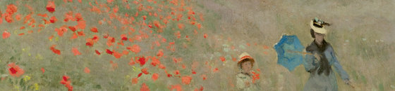 Field with poppies