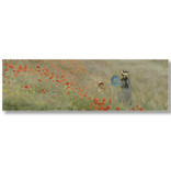 Schal, Monet, Feld mit Mohnblumen