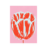 Tea Towel, Tulip Pop line Pink