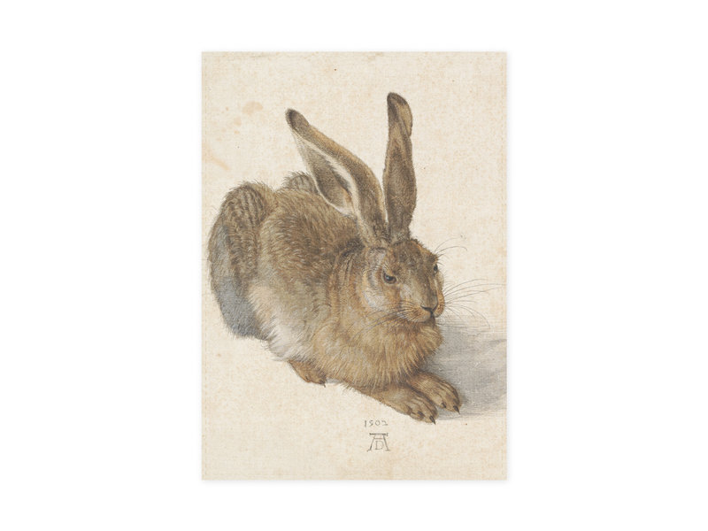 Tea Towel , Dürer, Hare