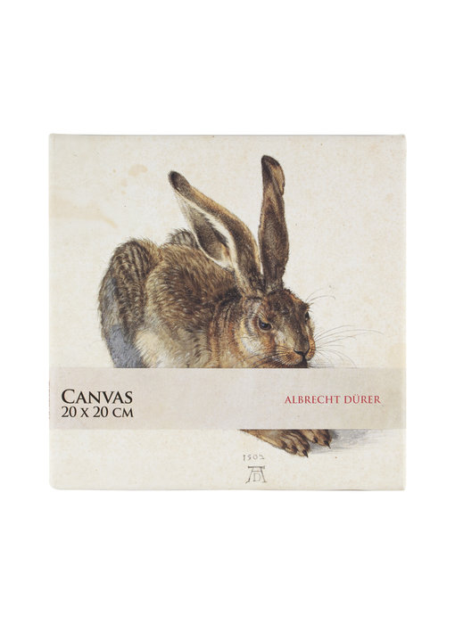 Tableau sur toile, 20x20 cm, Dürer, Hare