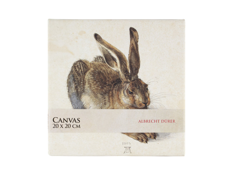 Canvas Print , 20x20 cm, Dürer, Hare