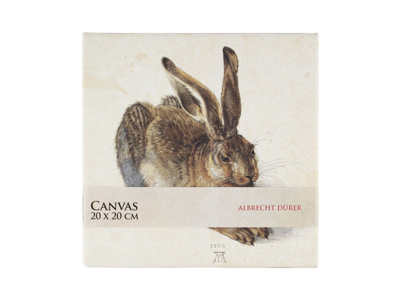 Tableau sur toile, 20x20 cm, Dürer, Hare