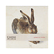 Tableau sur toile, 20x20 cm, Dürer, Hare