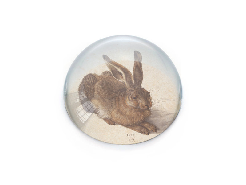 Glass paper weight, Dürer, Hare