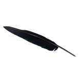 Pluma, negro