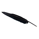 Stylo plume, Noir