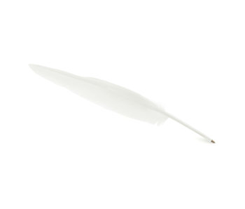 Stylo plume Blanc