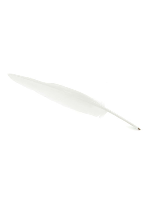 Pluma blanca