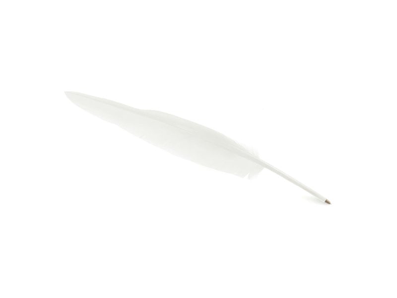 Pluma blanca