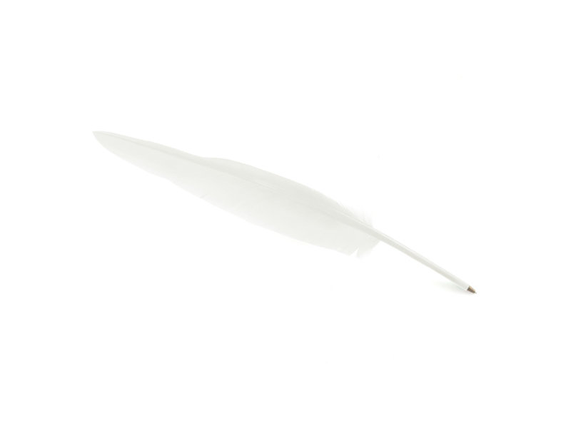 Stylo plume Blanc