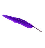 Quillpen Purple