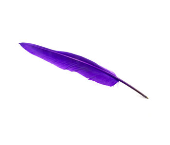 Quillpen Purple