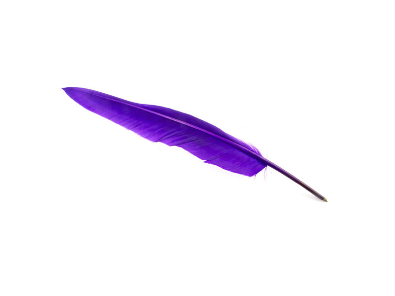 Pluma púrpura