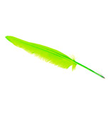 Pluma verde