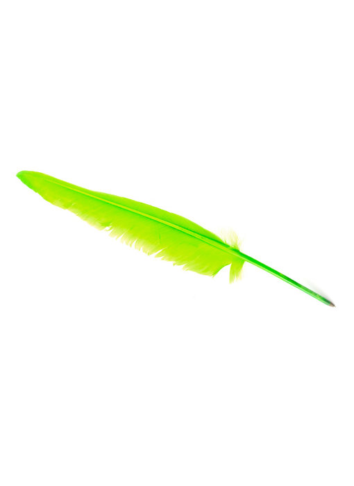 Pluma verde