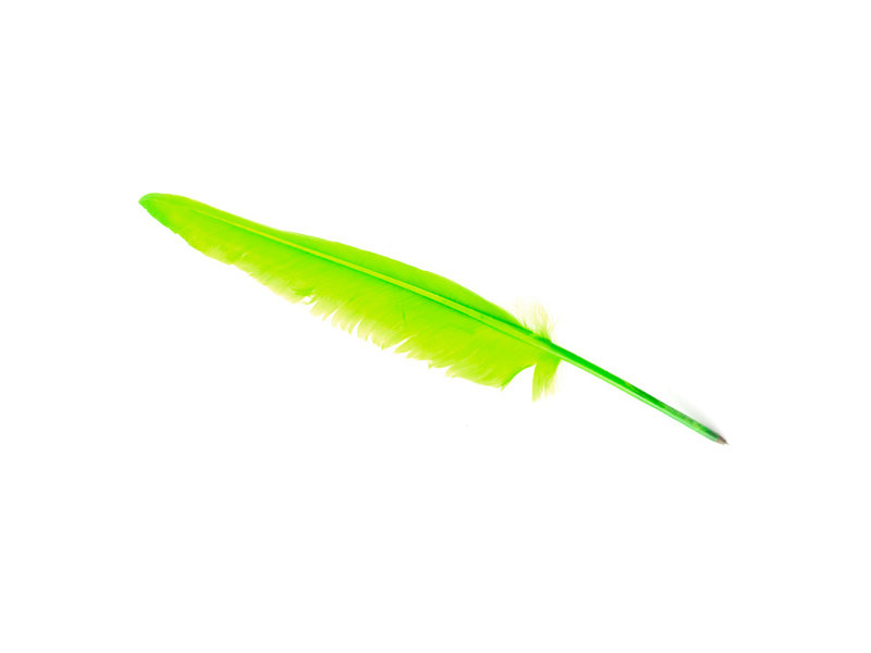 Pluma verde