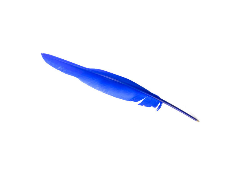 Pluma azul