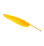 Pluma Pluma Naranja Claro