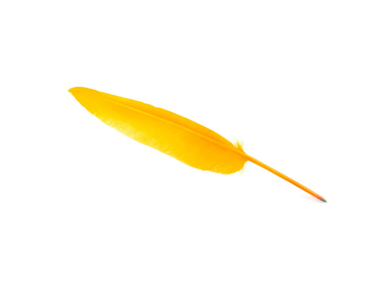 Pluma Pluma Naranja Claro