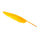Pluma Pluma Naranja Claro
