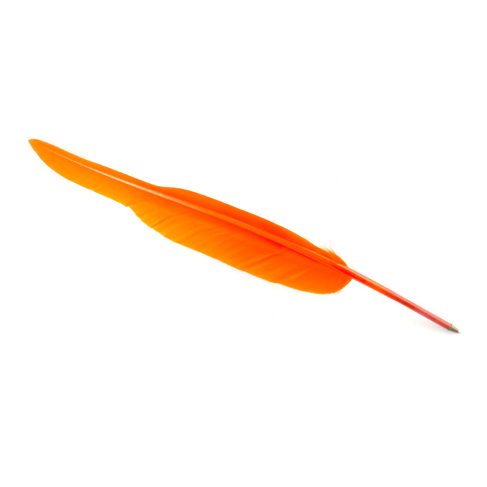 Orange Feather Pen – National Archives Store