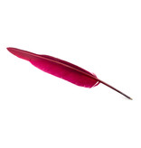 Stylo plume Aubergine