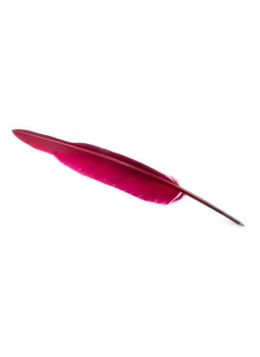 Stylo plume Aubergine