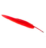 Pluma roja