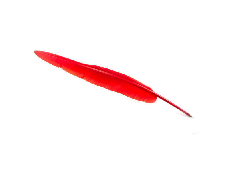 Pluma roja