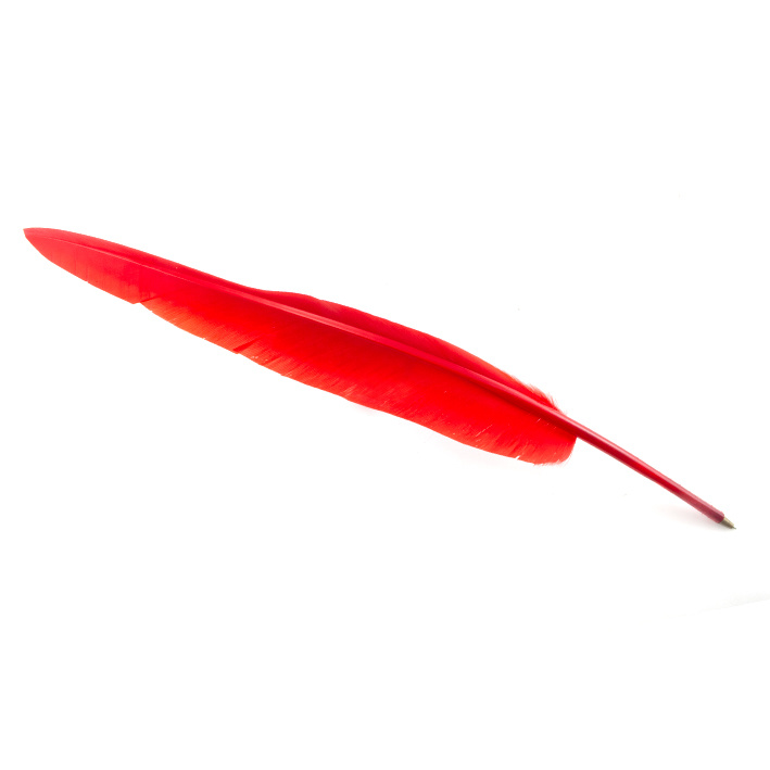 X20 plumas rojas -  España