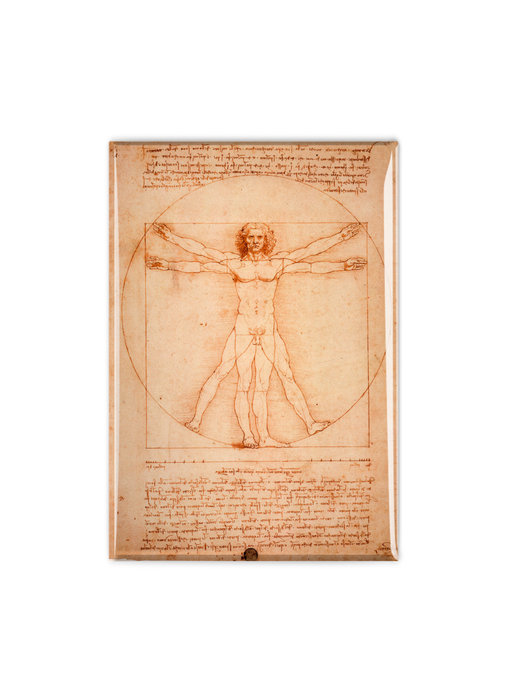 Aimant frigo, Da Vinci, homme de Vitruve