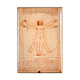 Fridge magnet, Da Vinci, Vitruvian Man