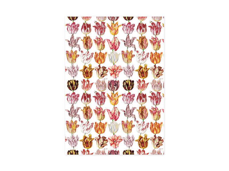 Tea Towel, Tulips, Marrel