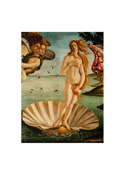 Artist Journal, Botticelli, Birth of  Venus