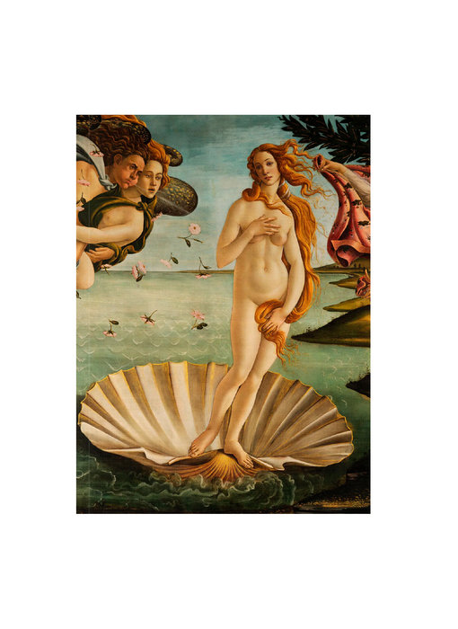 Cahier d'artiste, Botticelli, naissance de Vénus