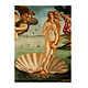 Artist Journal, Botticelli, Geboorte van Venus