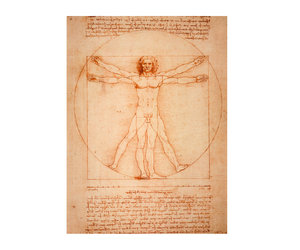 Da Vinci: Vitruvian Man (Blank Sketch Book)