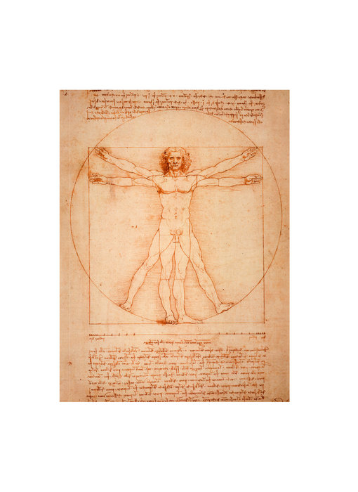 Artist Journal,  Da Vinci, Mens van Vitruvius