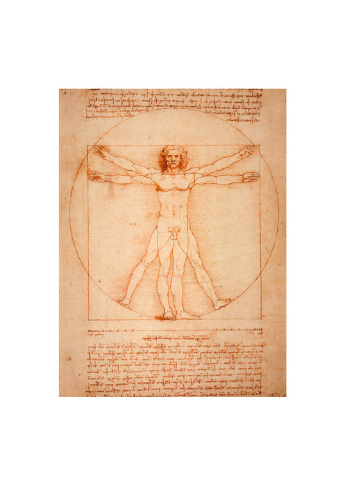 Diario del artista,Da Vinci, el hombre de Vitruvio