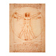 Artist Journal,  Da Vinci, Mens van Vitruvius